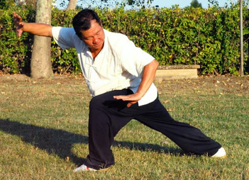 Il G.M° Yang Lin Sheng, 40° discendente del generale Yang Ji Ye, durante una pratica di Nei Jia Kung Fu