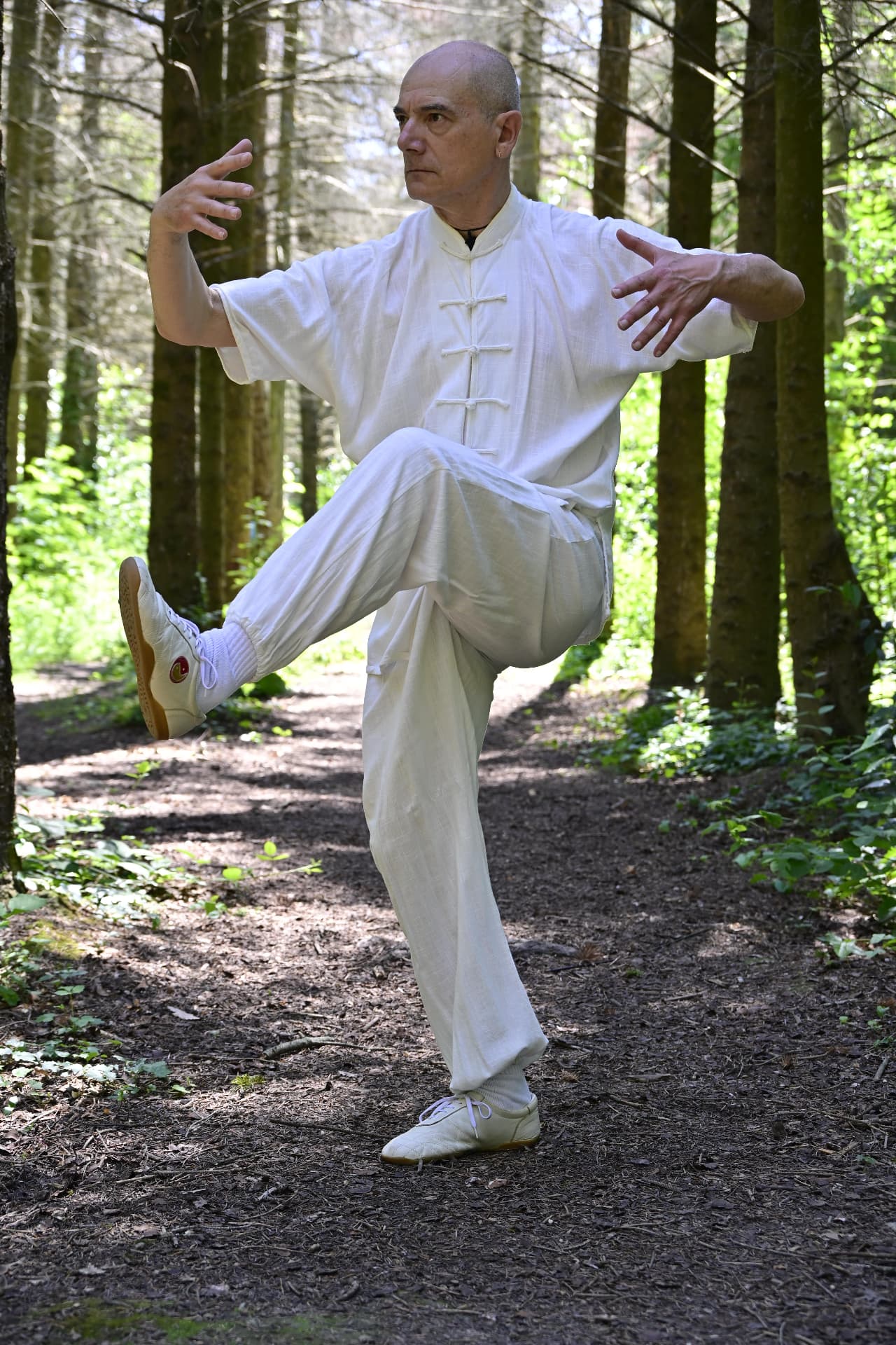 Yi Quan — pratica presso l'Accademia Nei Jia Kung Fu di Pesaro