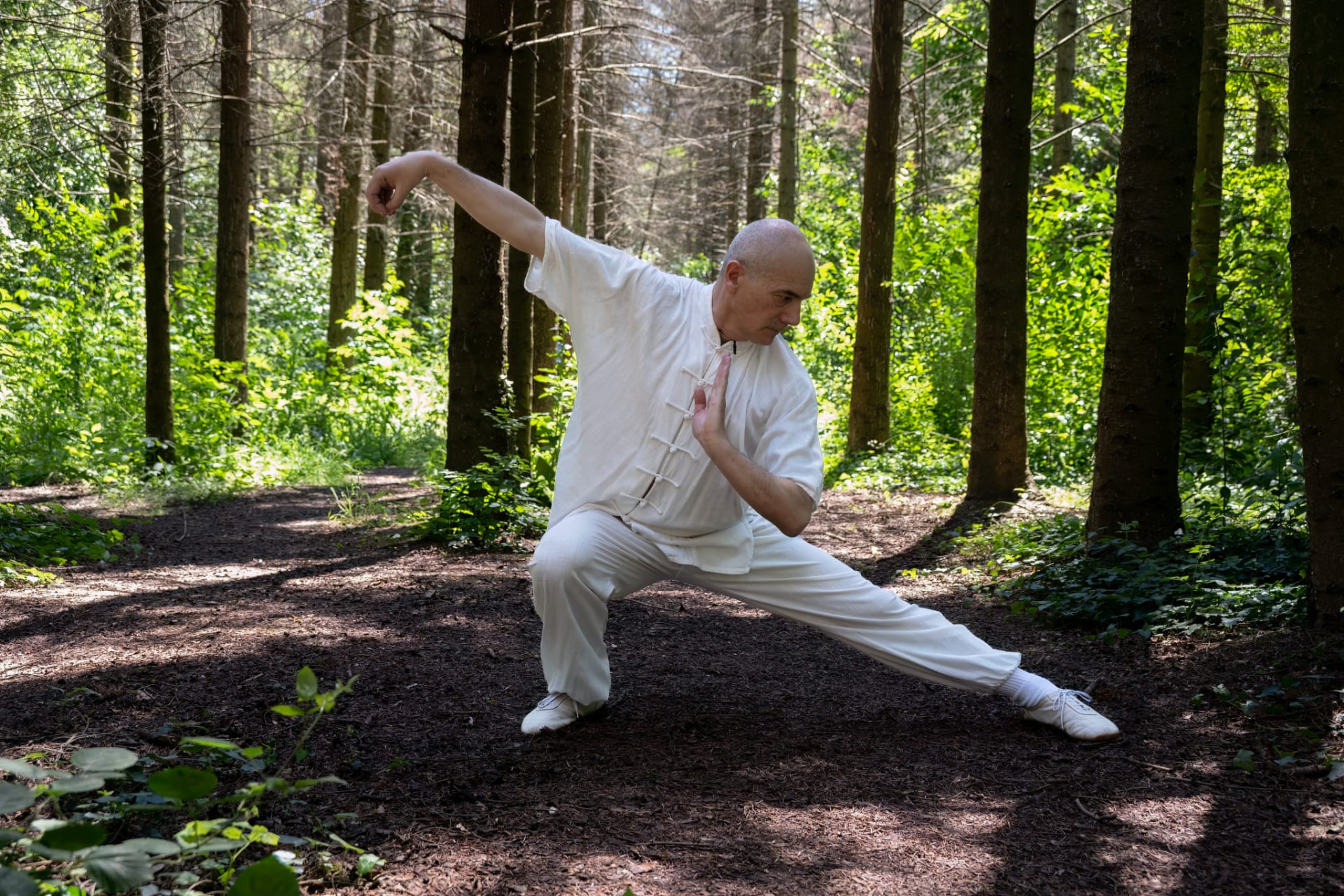 Posizione bassa  Xia Shi TaiJi Yang