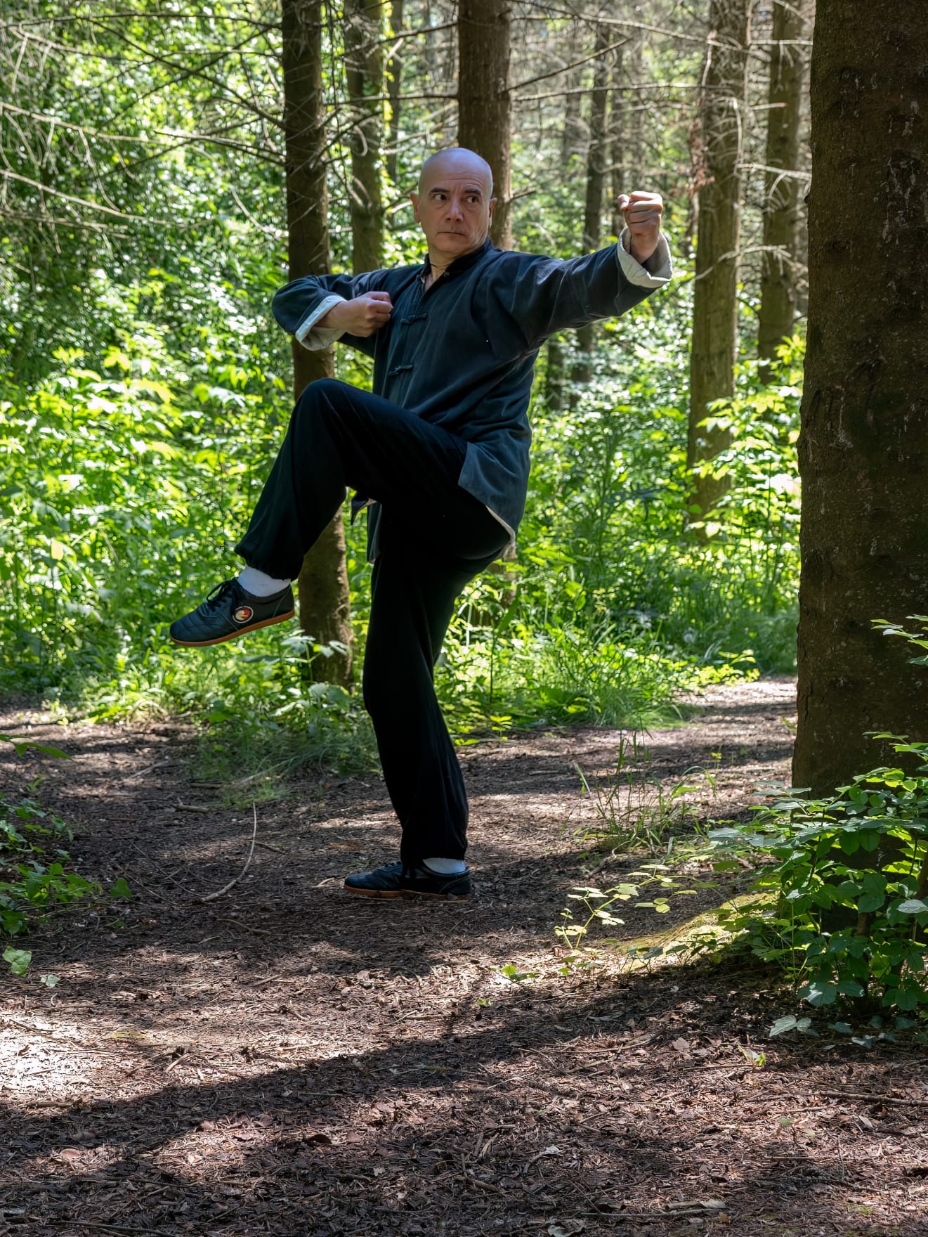 BaGua Zhang   terzo Palmo