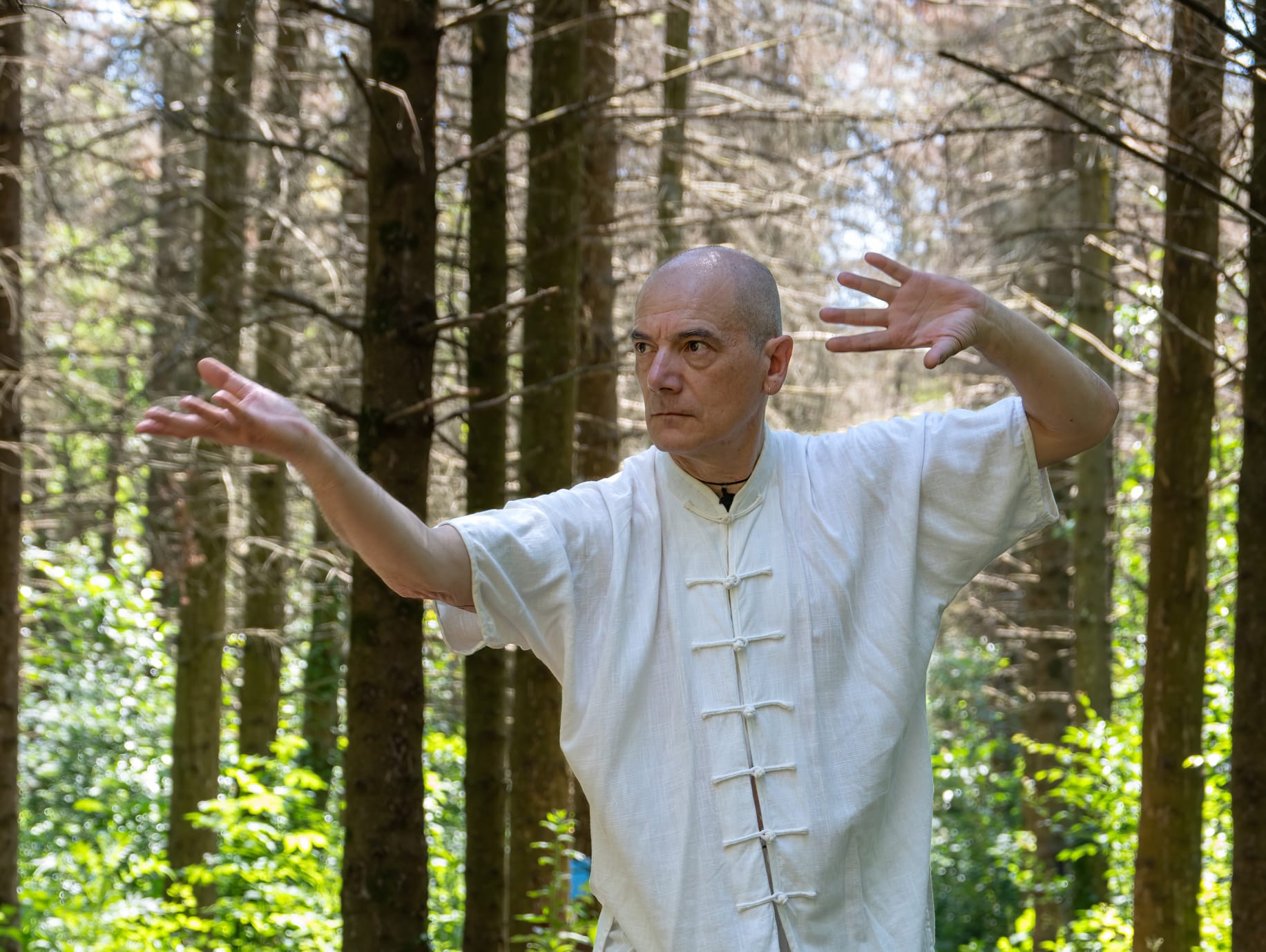 BaGua Zhang