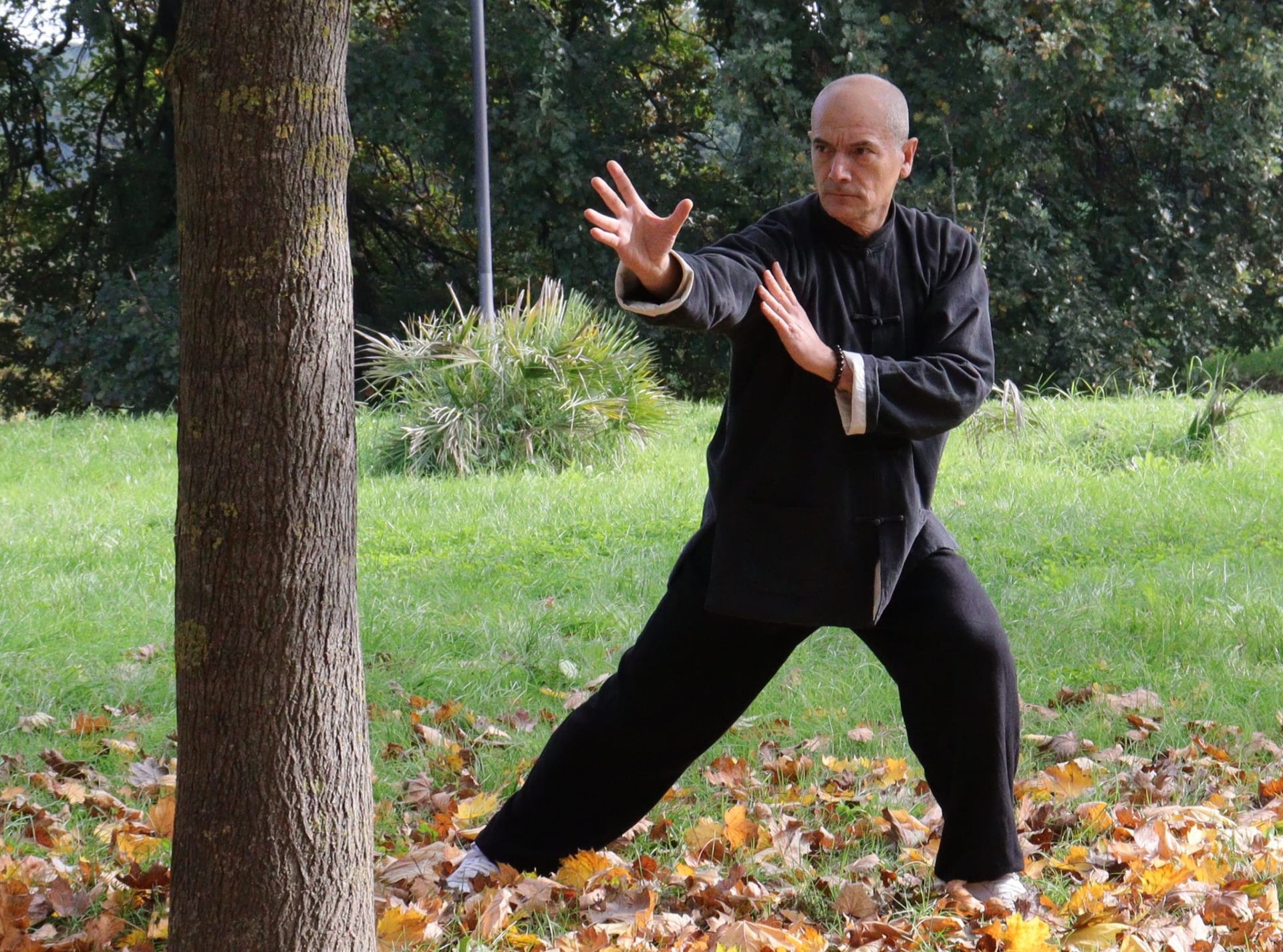 Pratica nel parco  BaGua Zhang