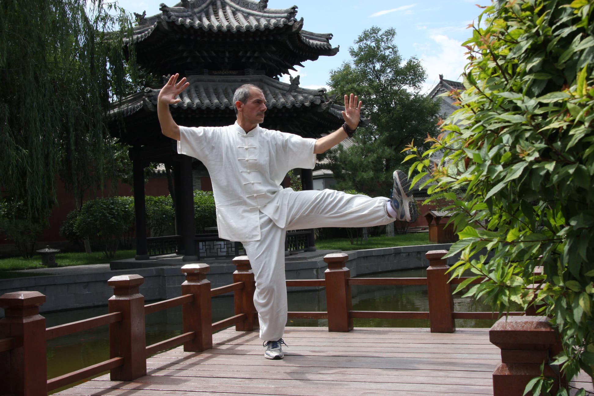 Taiji Quan stile Yang  Deng Tui