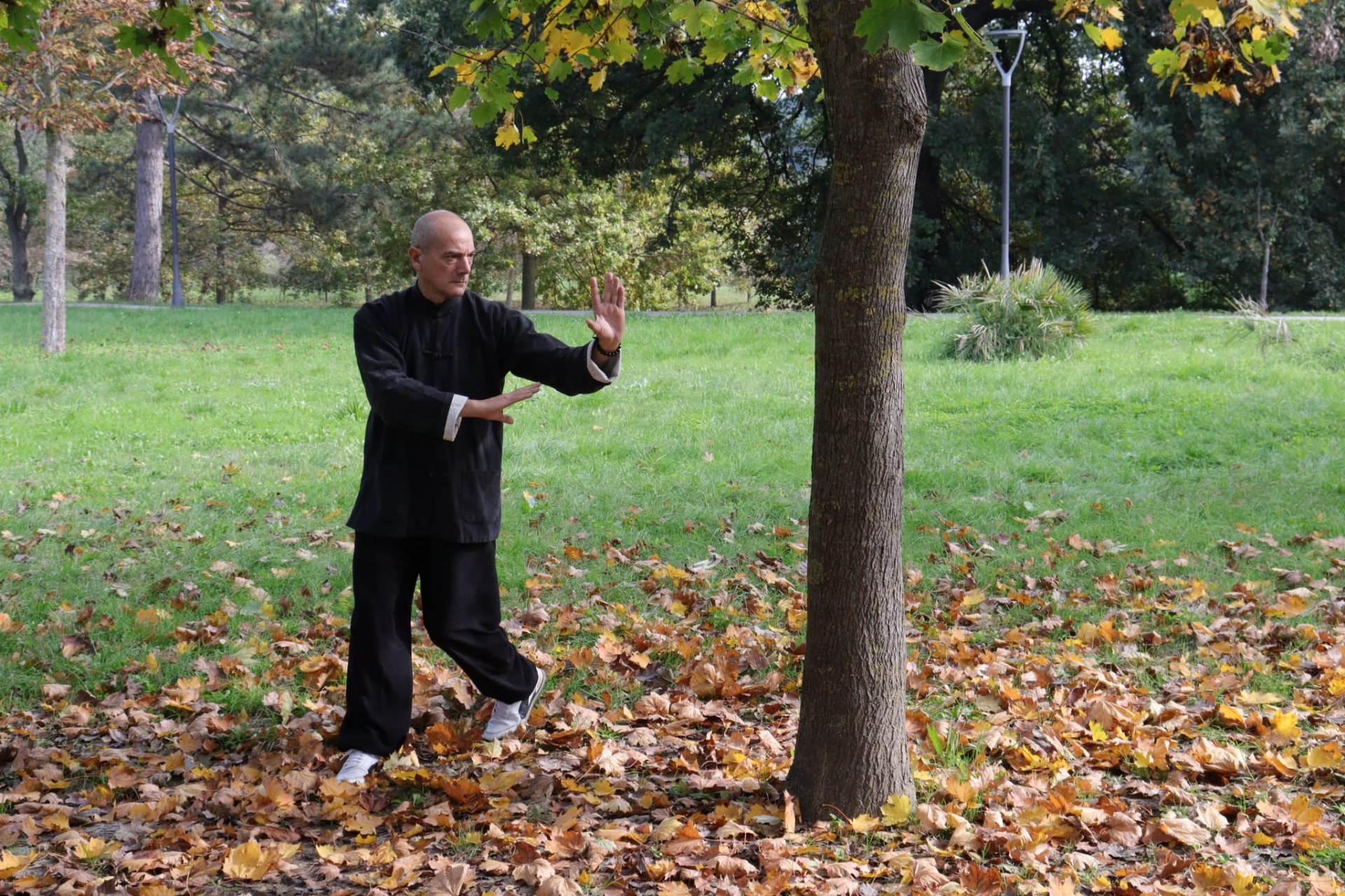 Posizione di guardia tra le foglie d'autunno