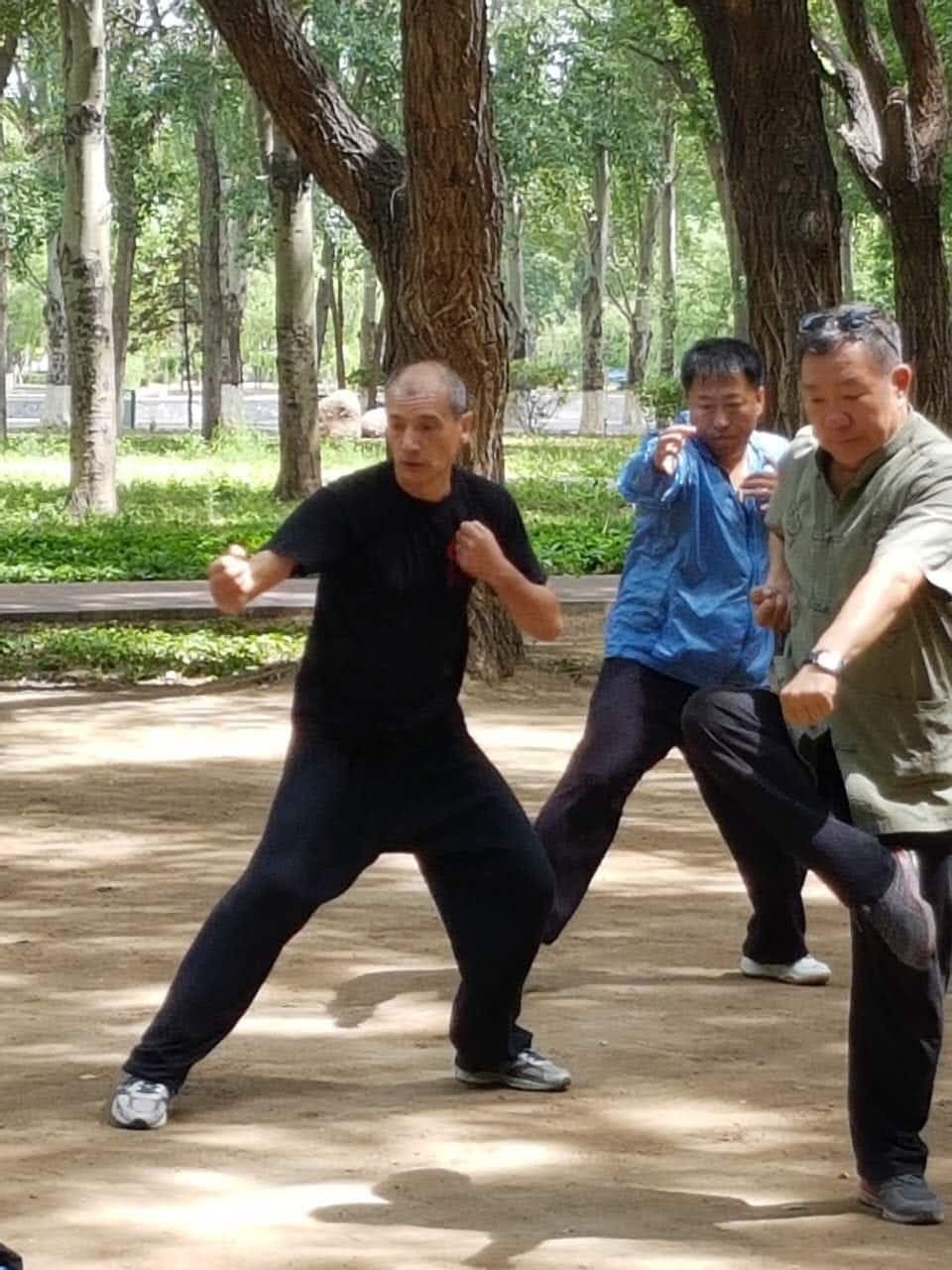 Pratica di Pao QuanQuan nel parco di Baotou