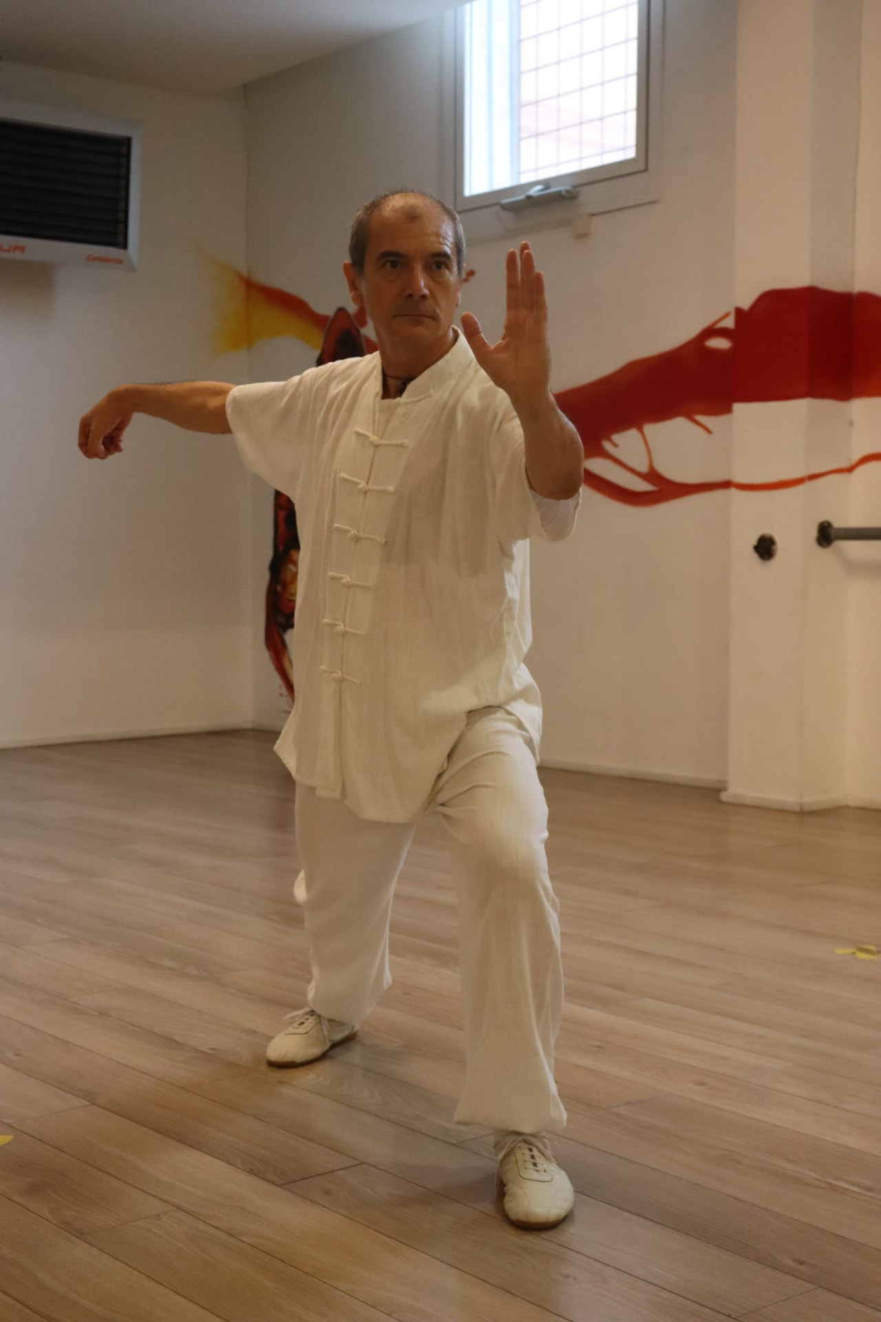 TaiJi Quan stile Yang   Dan Bien